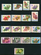 Click here for product details